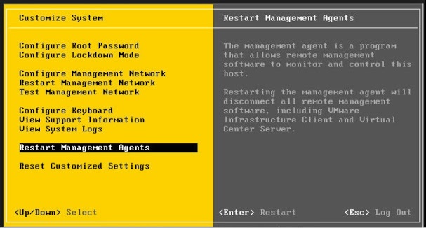 VMware ESXi Restart Management Services