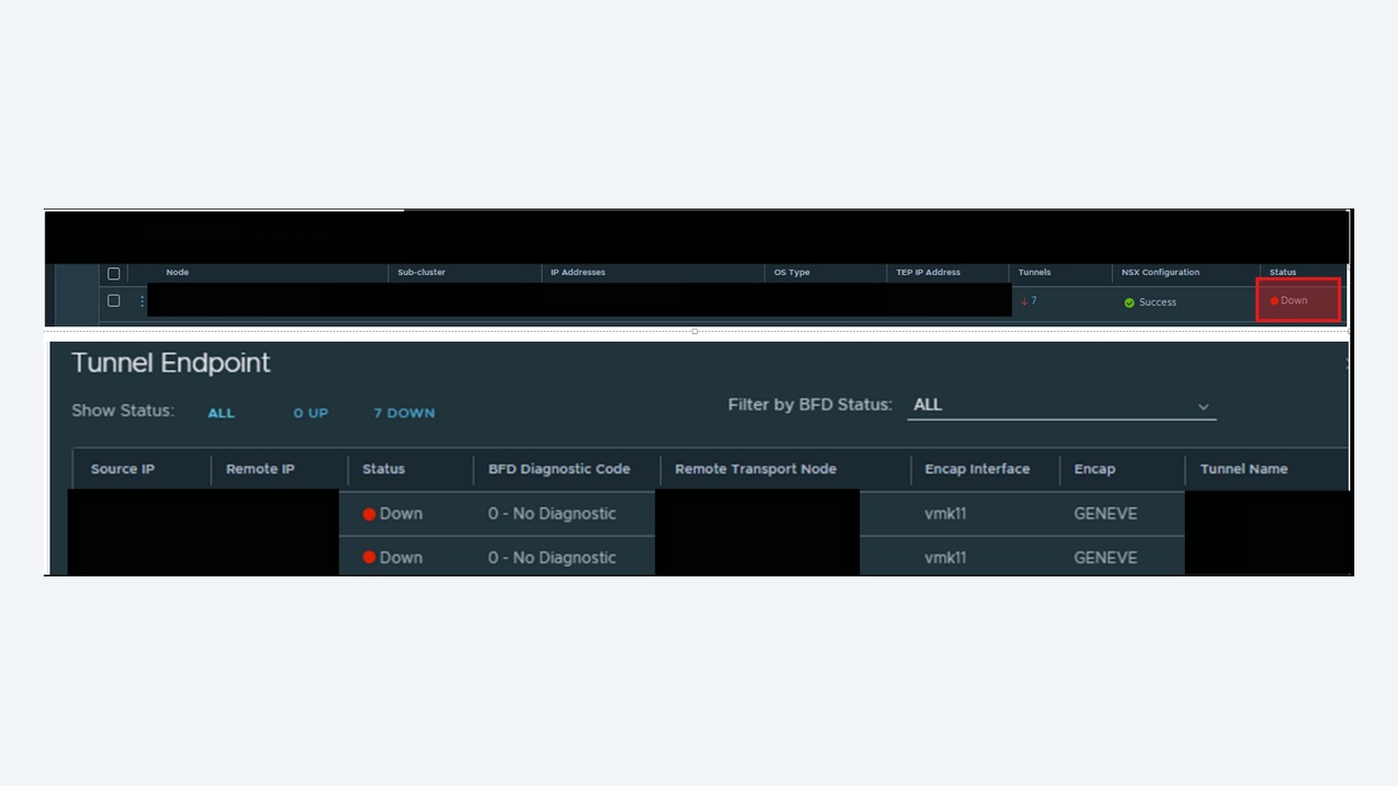 Network management console listing Geneve tunnel endpoints with Up and Down status values