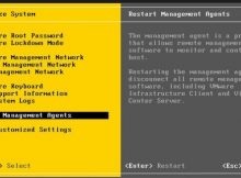VMware ESXi Restart Management Services