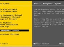 VMware ESXi Restart Management Services
