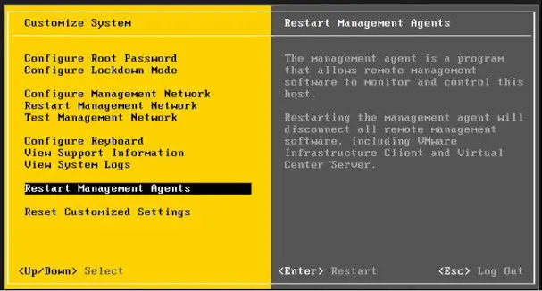 VMware ESXi Restart Management Services